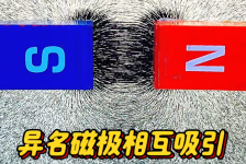 用铁屑演示“同名磁极相互排斥”的磁场