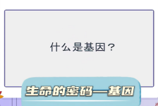 “齐”妙科学之旅：生命的密码—基因