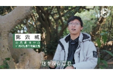 亚热带植物探秘系列—聚果榕