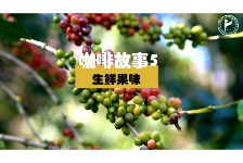 咖啡故事5-生鲜果味