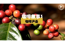 咖啡故事3-咖啡产业