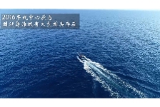 广西涠洲岛海域出现大型鲸类-布氏鲸