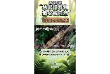 神奇的魔物守宫