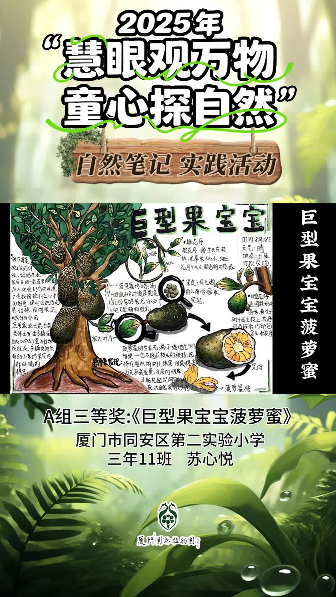 巨型果宝宝菠萝蜜