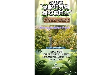 解锁鸡冠刺桐的科学密码