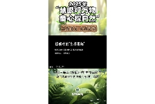 棕榈叶的“生存奥秘”