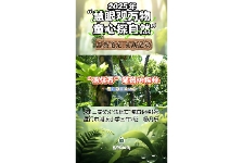 “活化石”笔筒树探秘