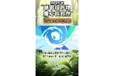 说自然之南非叶