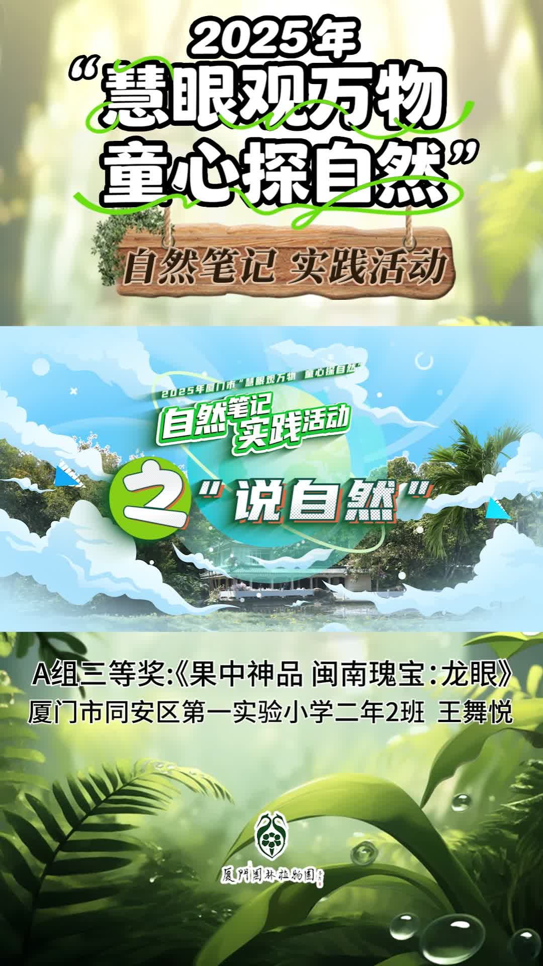 果中神品 闽南瑰宝：龙眼