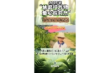 芝麻开花节节高