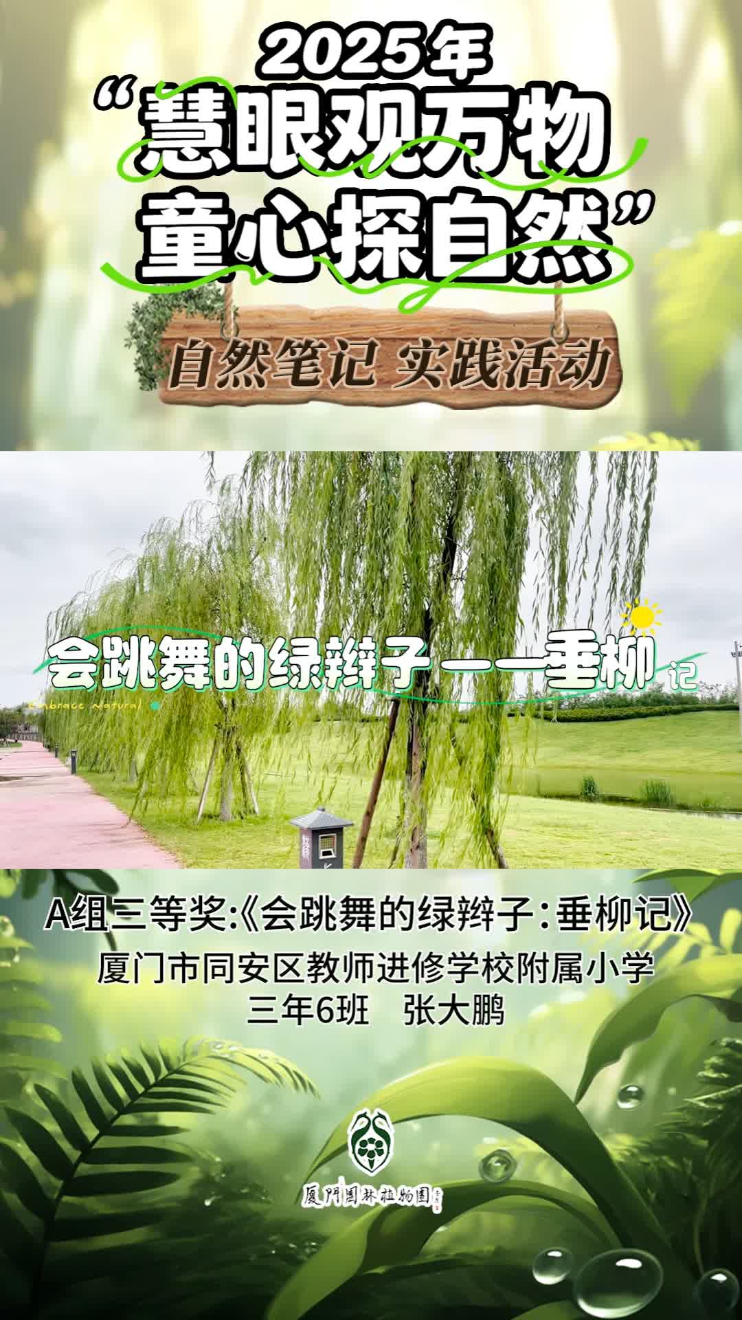 会跳舞的绿辫子：垂柳记