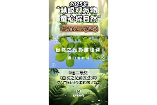 自然之光影魔法课