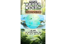 厦门自然笔记：螳螂的一生