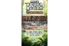 鬃狮蜥观察笔记