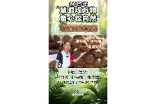 神奇的“小乌龟”龟甲龙