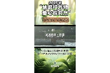 浅滩白羽：白鹭