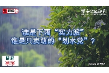 谁是下雨“实力派”，谁是只卖萌的“划水党”？