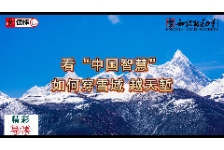 看“中国智慧”如何穿雪域、越天堑 | 科普视听