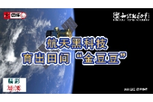 航天黑科技育出田间“金豆豆”