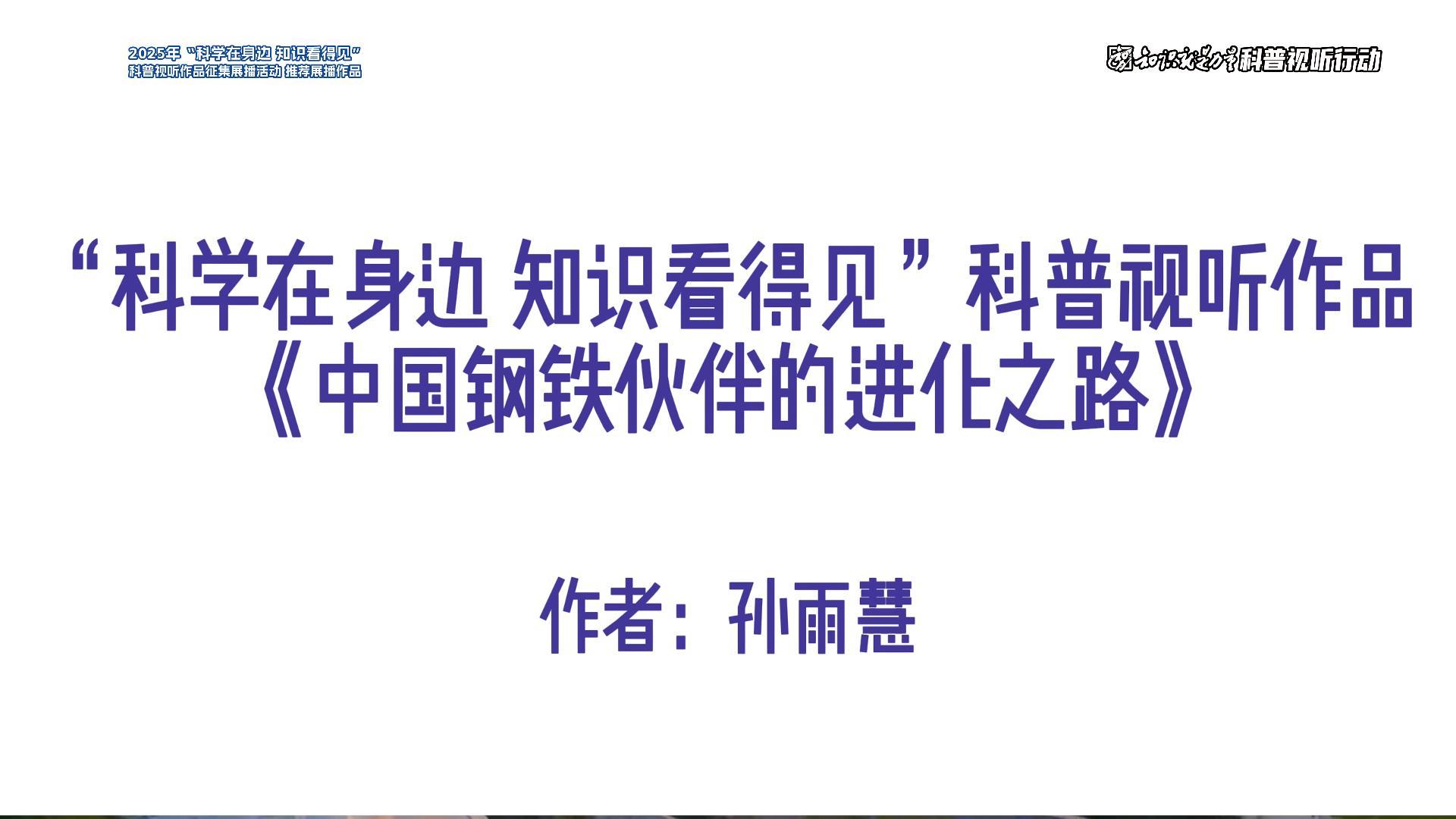 中国钢铁伙伴的进化之路